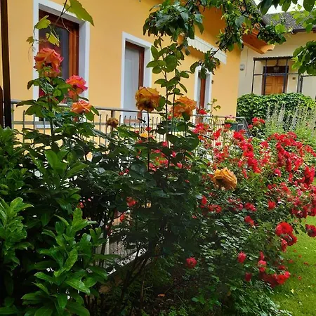 Le Tournesol Apartment Gignod